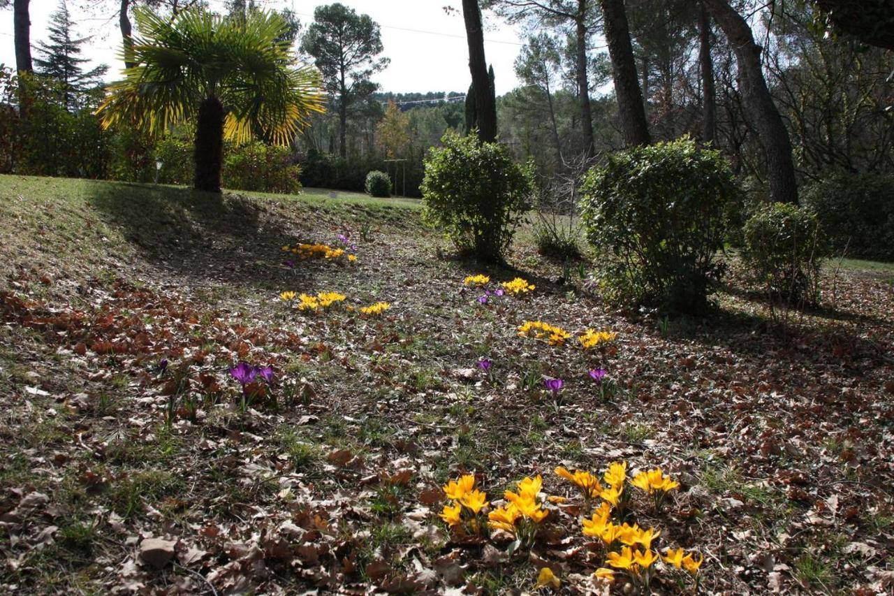Il Sole Villa Le Puy-Sainte-Réparade Dış mekan fotoğraf